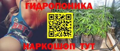 ALPHA PVP Гусев