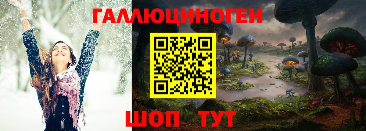 Мурманск  что такое наркотик  Вход с VPN  Галлюциногенные грибы Psilocybe 