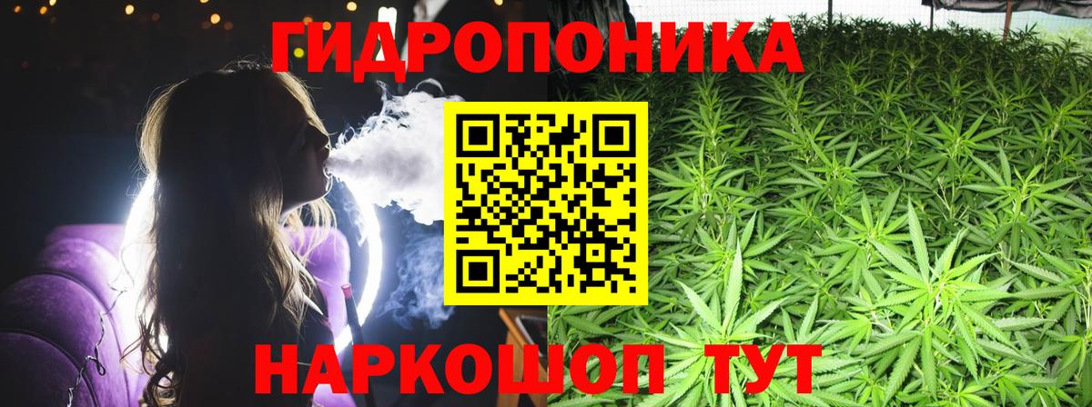 Каннабис индика  Бошки марихуана Bruce Banner  Конопля марихуана  Мурманск  Конопля планчик  Вход с VPN 